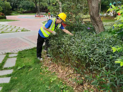 怡軒園林綠化公司啟動(dòng)雪域?yàn)懲バ^(qū)冬季綠化專(zhuān)項(xiàng)養(yǎng)護(hù)管理工作